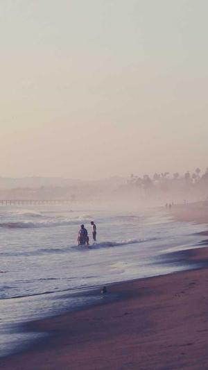 超级蜘蛛池域名是什么截图2