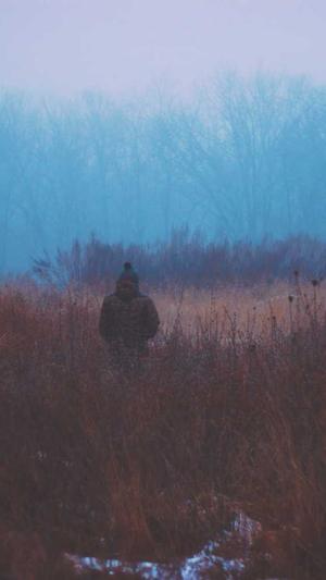 免费个人网站建设截图1