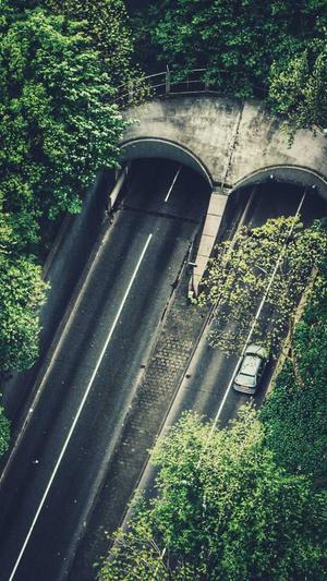 蜘蛛池有几种类型的截图5