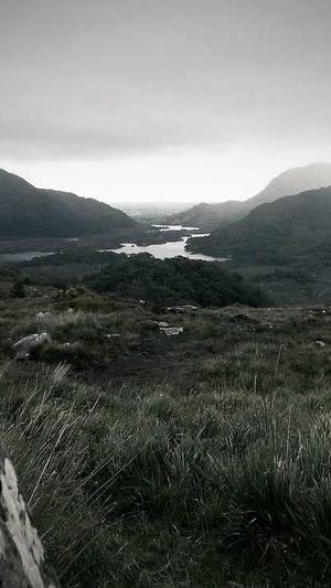 重庆seo优化排名公司截图3