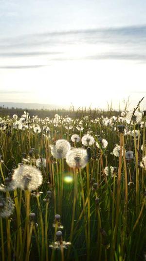 seo排名系统截图4