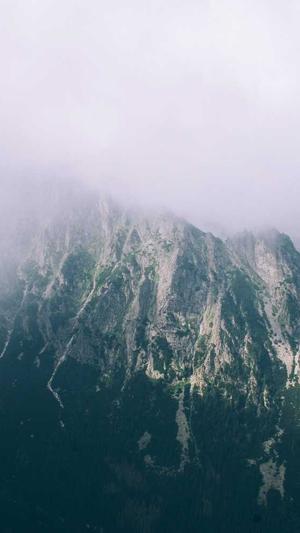 蜘蛛池下载截图4