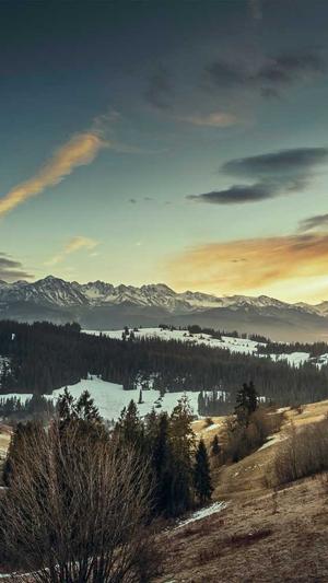 泛目录站群cms截图3