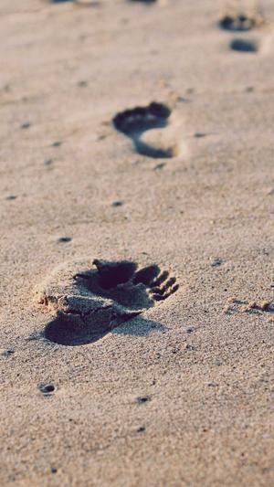 泛目录站群程序截图5