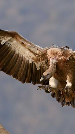 网站seo优化排名截图5