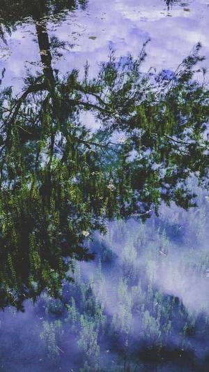 北京seo优化培训截图2