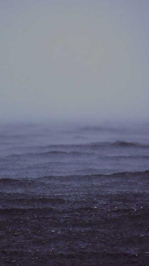 宝鸡网站建设截图2