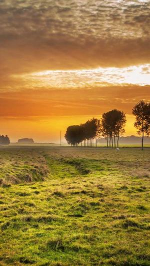 福州seo关键词排名工具截图3