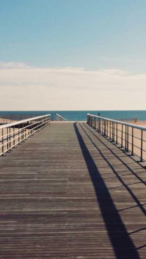 seo搜索引擎优化工具截图1