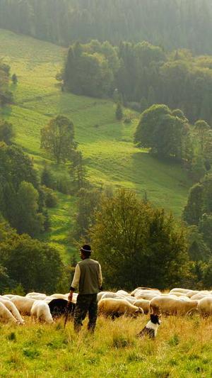 汕头seo优化截图5