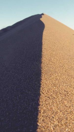 2018最新泛目录程序截图3