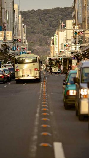 黑帽蜘蛛池培训截图3