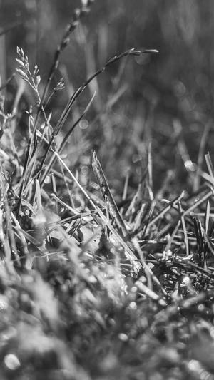 安装蜘蛛池教程截图1