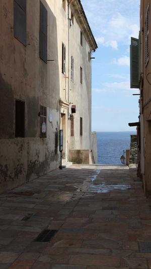 无名新闻蜘蛛池截图3