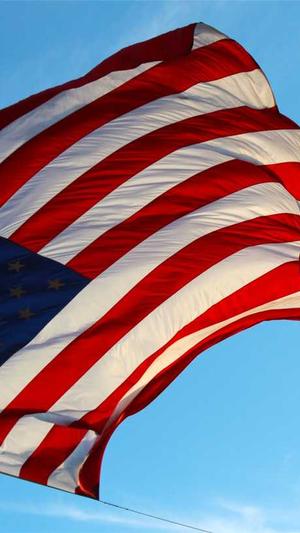 神马蜘蛛池租用多少钱截图4