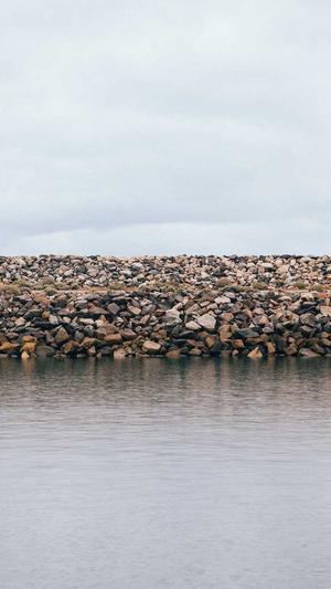 小霸王蜘蛛池截图2