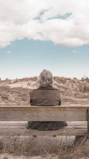 黑帽蜘蛛池培训截图2