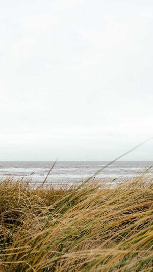 武汉 网站建设截图5