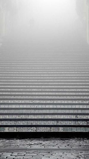 蜘蛛池优化推广渠道截图3