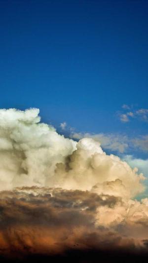 免费的seo查询工具分类截图1