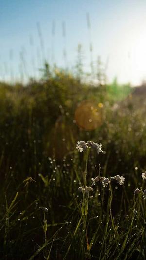 seo分析工具哪个好用截图1