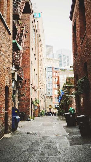 深圳快速seo工具截图2