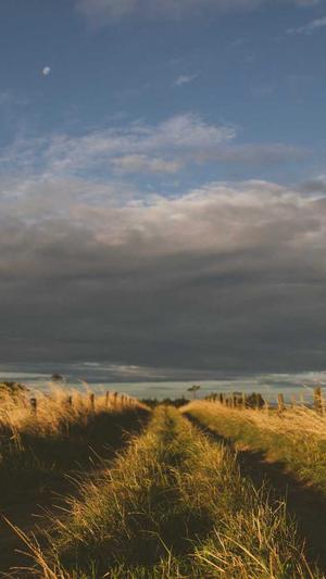 蜘蛛池模板截图1