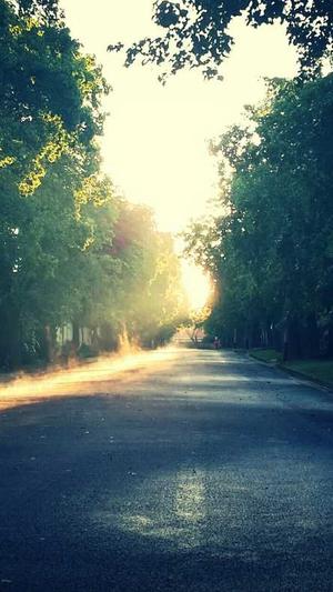 好网站建设截图3