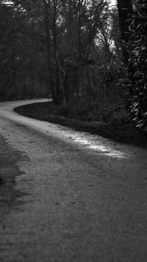 搭建蜘蛛池简单吗英语截图5