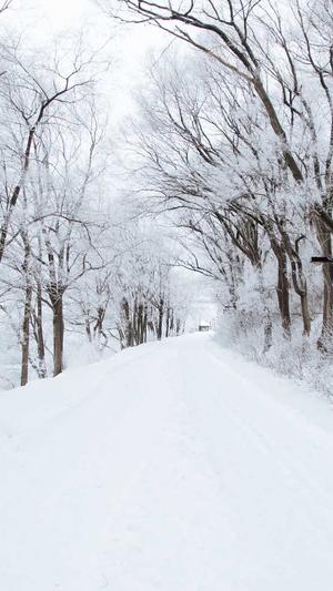 排名seo优化截图1