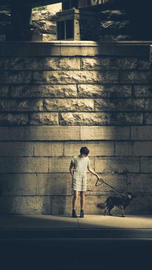 杭州网站制作杭州网站建设杭州网站设计杭州网站设计截图3