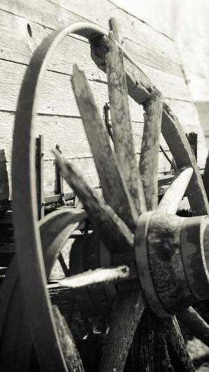 蜘蛛池的虫子叫什么截图3