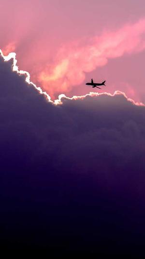 泛目录站群源码截图3