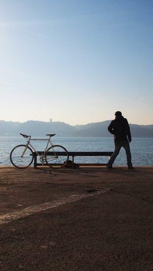 寿光网站建设截图3