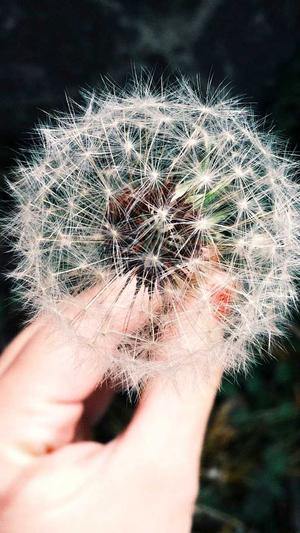 杭州seo排名工具截图1