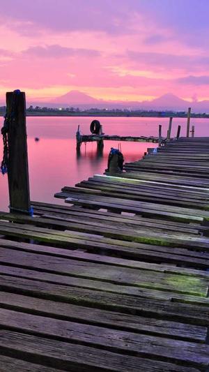 重庆seo排名公司截图4