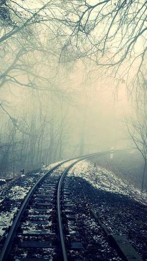 seo排名工具佳选截图4