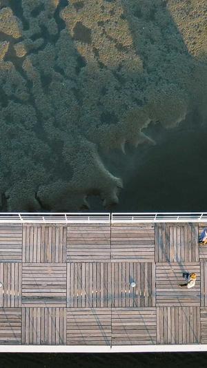 seo排名工具截图4