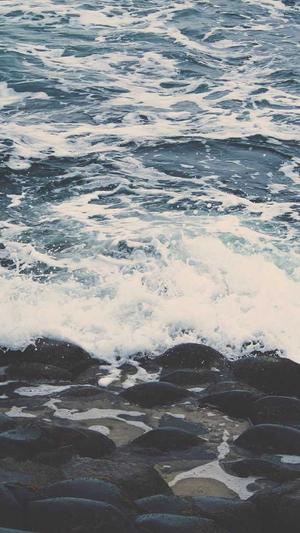 主播炸蜘蛛池是真的吗截图2