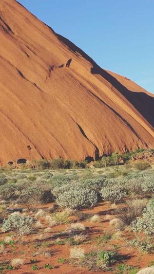 服务周到的上海网站建设公司截图4