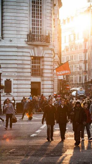 seo排名工具seo排名工具截图3