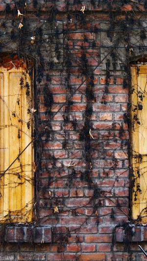 企业网站建设合同范本截图5