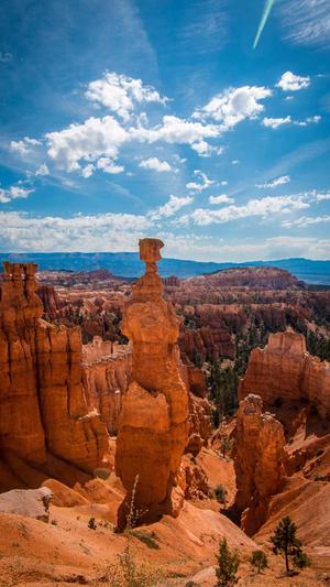 黑侠蜘蛛池搭建教程截图3