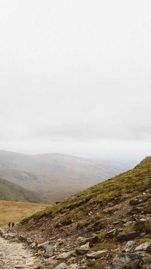 搜狗蜘蛛池多少蜘蛛有用截图1