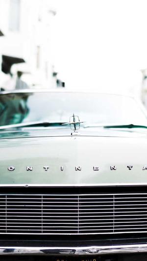 蜘蛛池免费版下载安装截图4