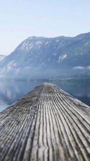 网站seo推广工具 sit截图4