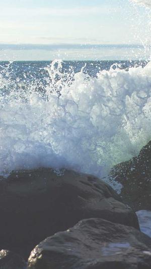 seo查询站长工具运营截图3