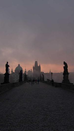 蜘蛛池搭建方法图片截图2