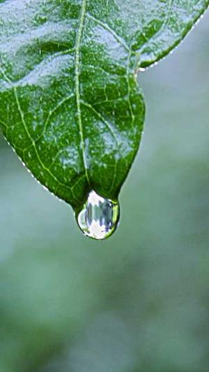 用cn域名做搜狗蜘蛛池截图1