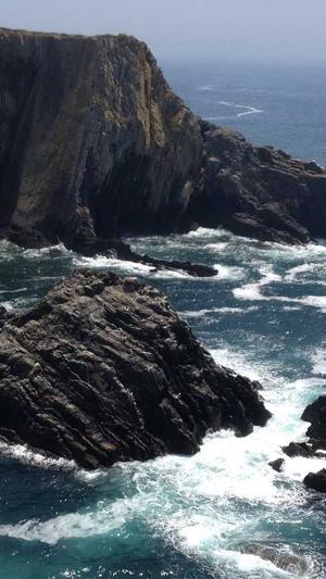 如何做seo排名优化工具截图1